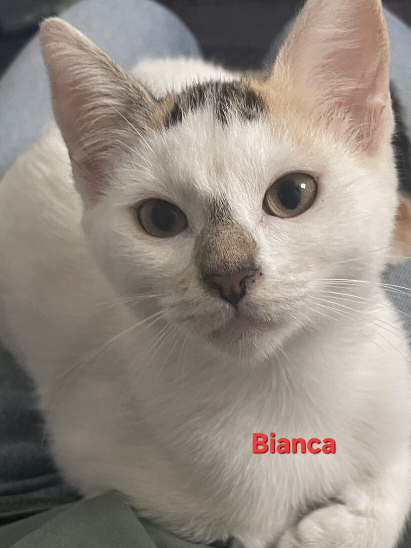 BIANCA