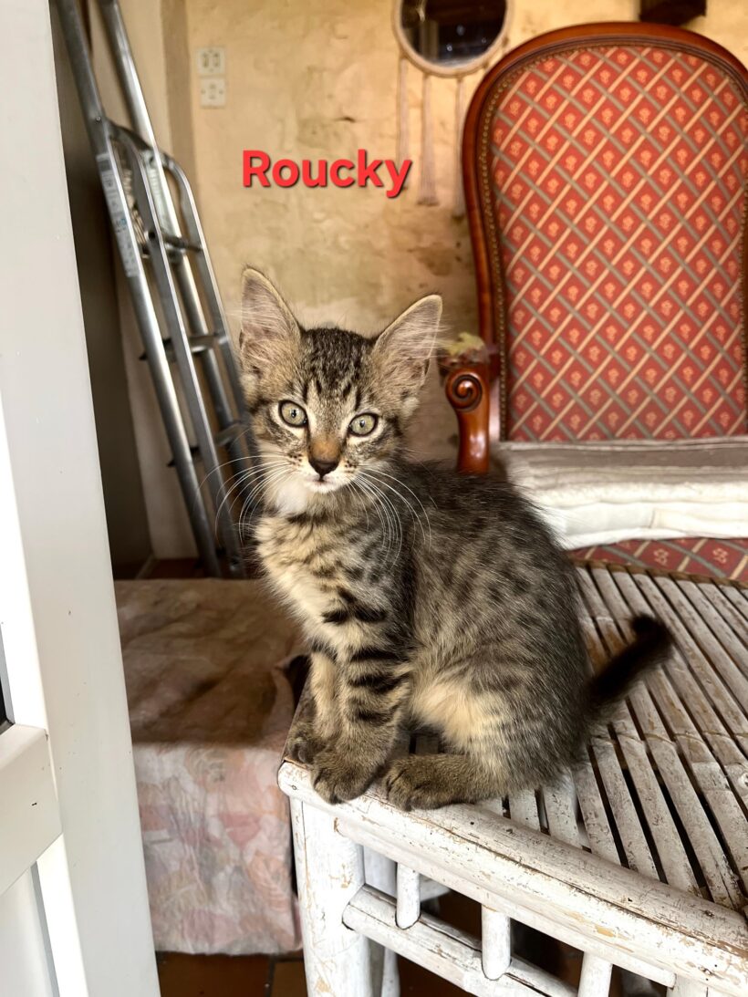 ROUCKY est réservé ROUCKY est réservé