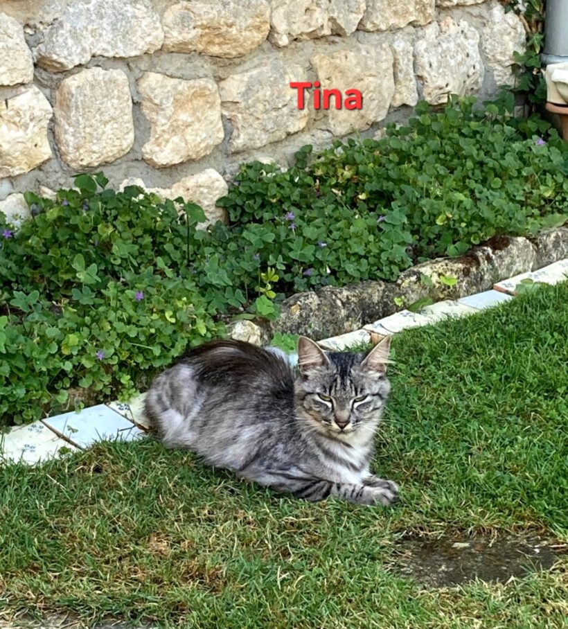 TINA