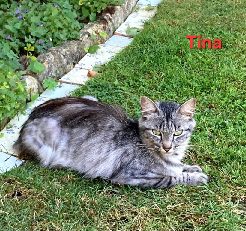 TINA