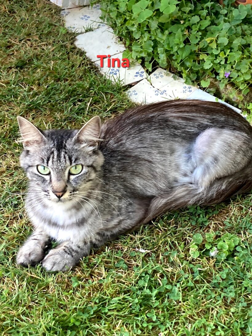 TINA