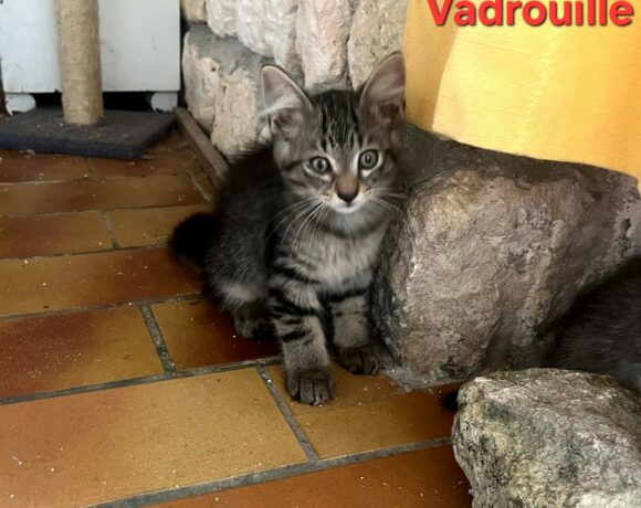 VADROUILLE VADROUILLE