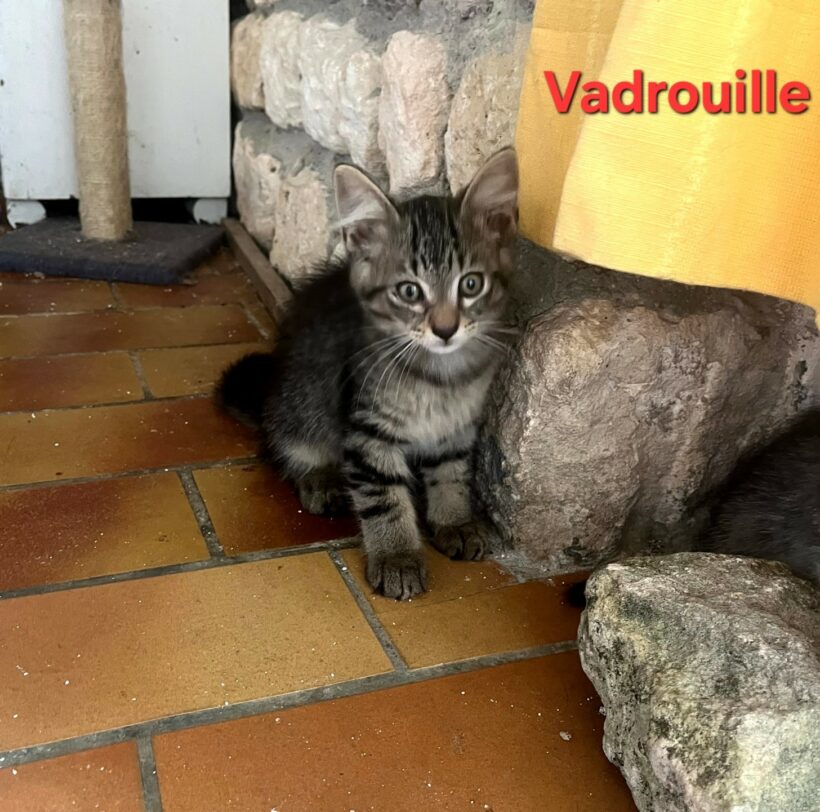 VADROUILLE