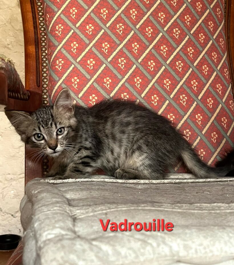 VADROUILLE