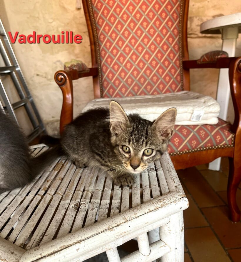 VADROUILLE