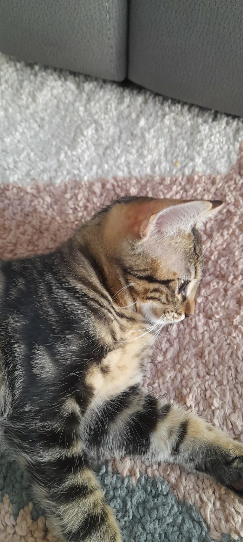 ATHENA ATHENA