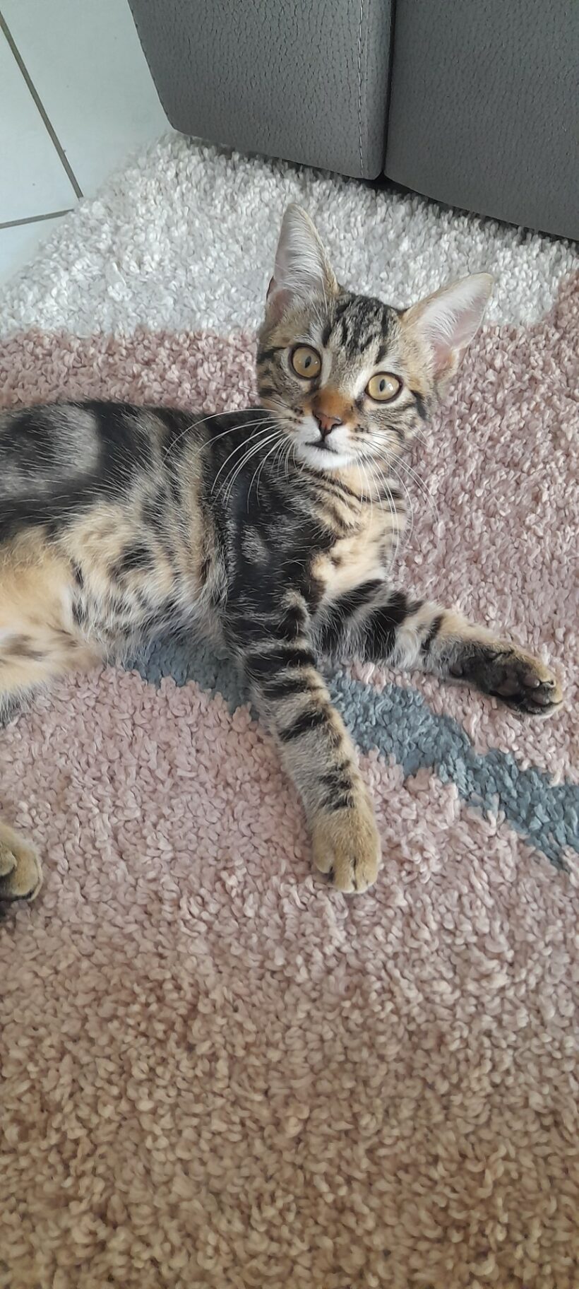 ATHENA ATHENA