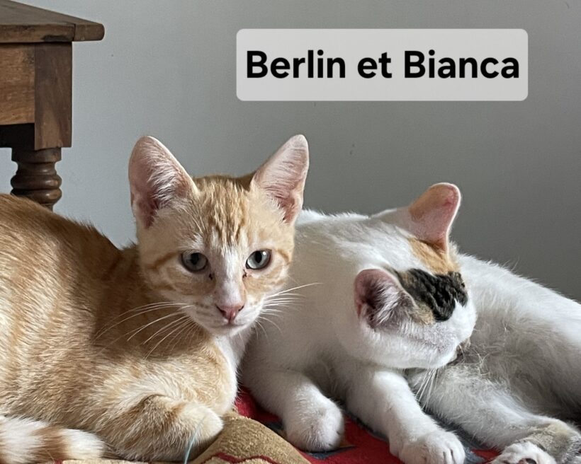 BERLIN