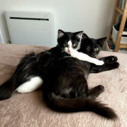 TINOU ET TOMER
