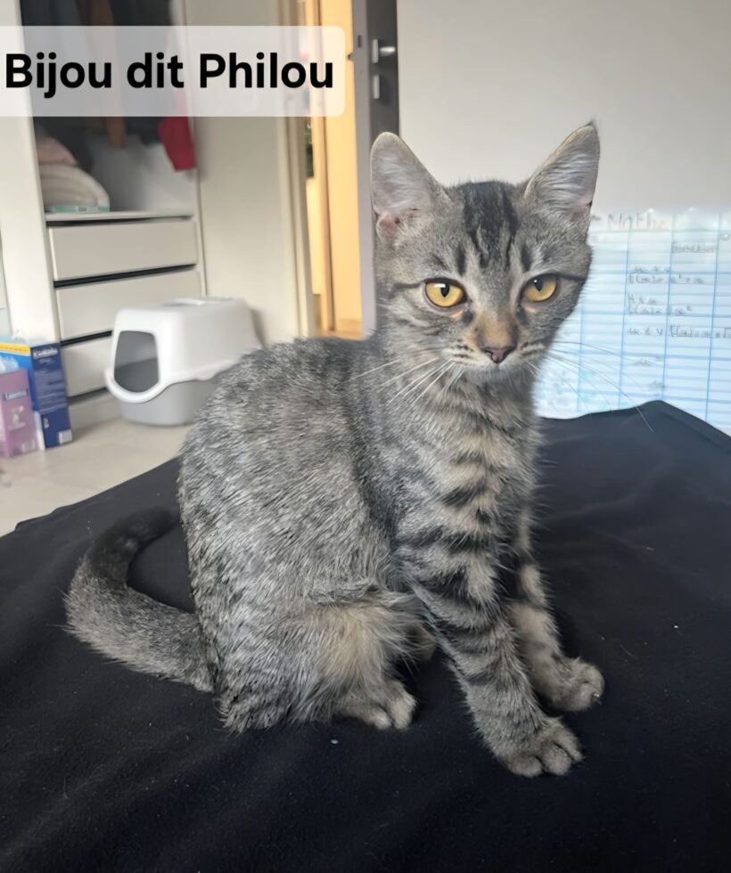 BIJOU DIT PHILOU BIJOU DIT PHILOU