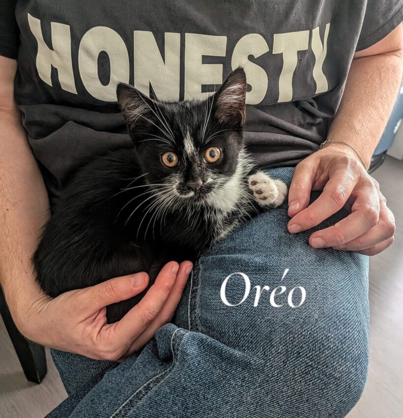 OREO est réservé