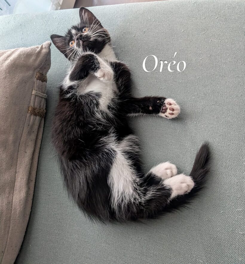 OREO est réservé