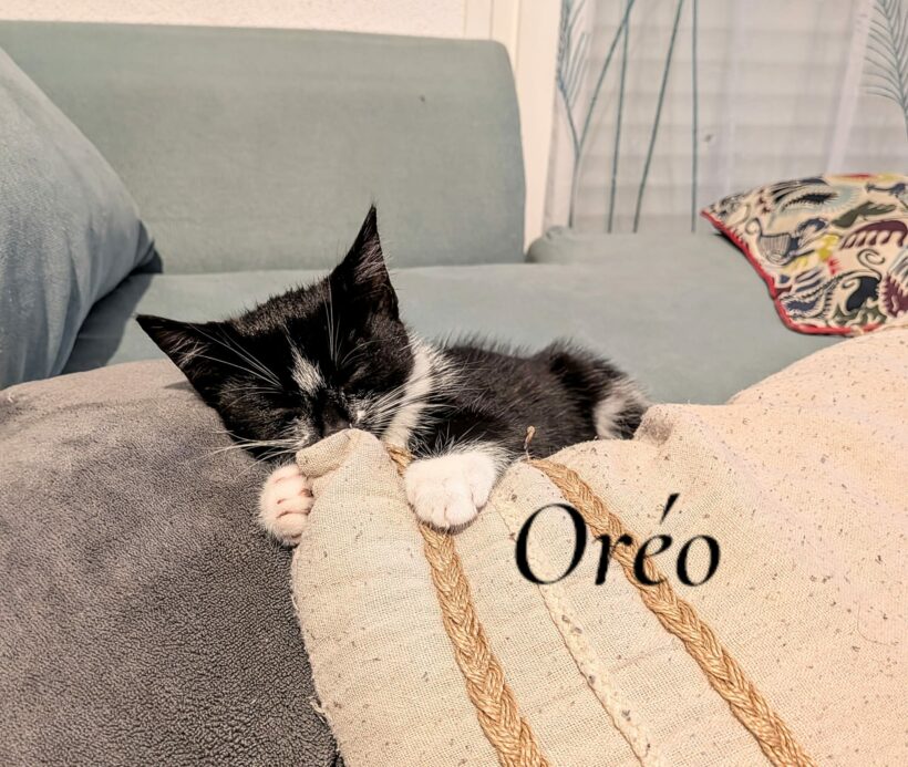 OREO est réservé