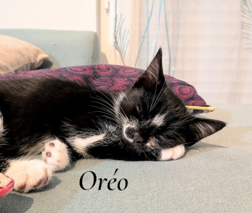 OREO est réservé