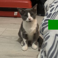 WINNIE est réservée