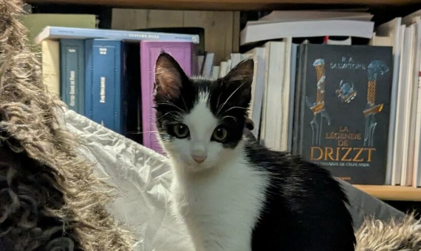 BÉBÉ MINA