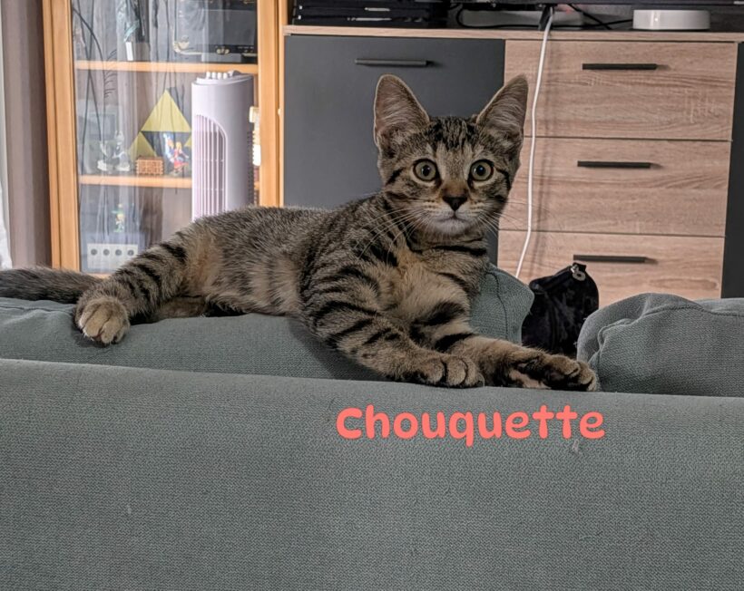 CHOUQUETTE