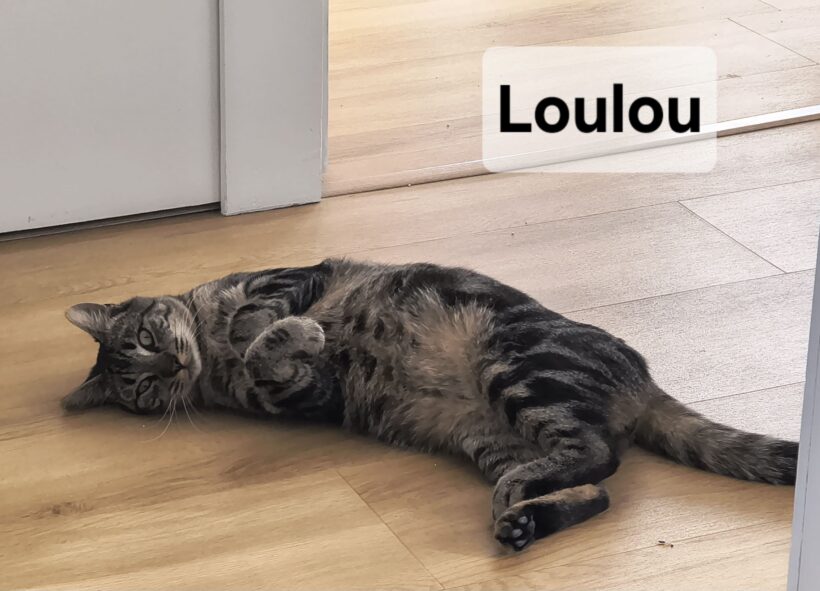 LOULOU